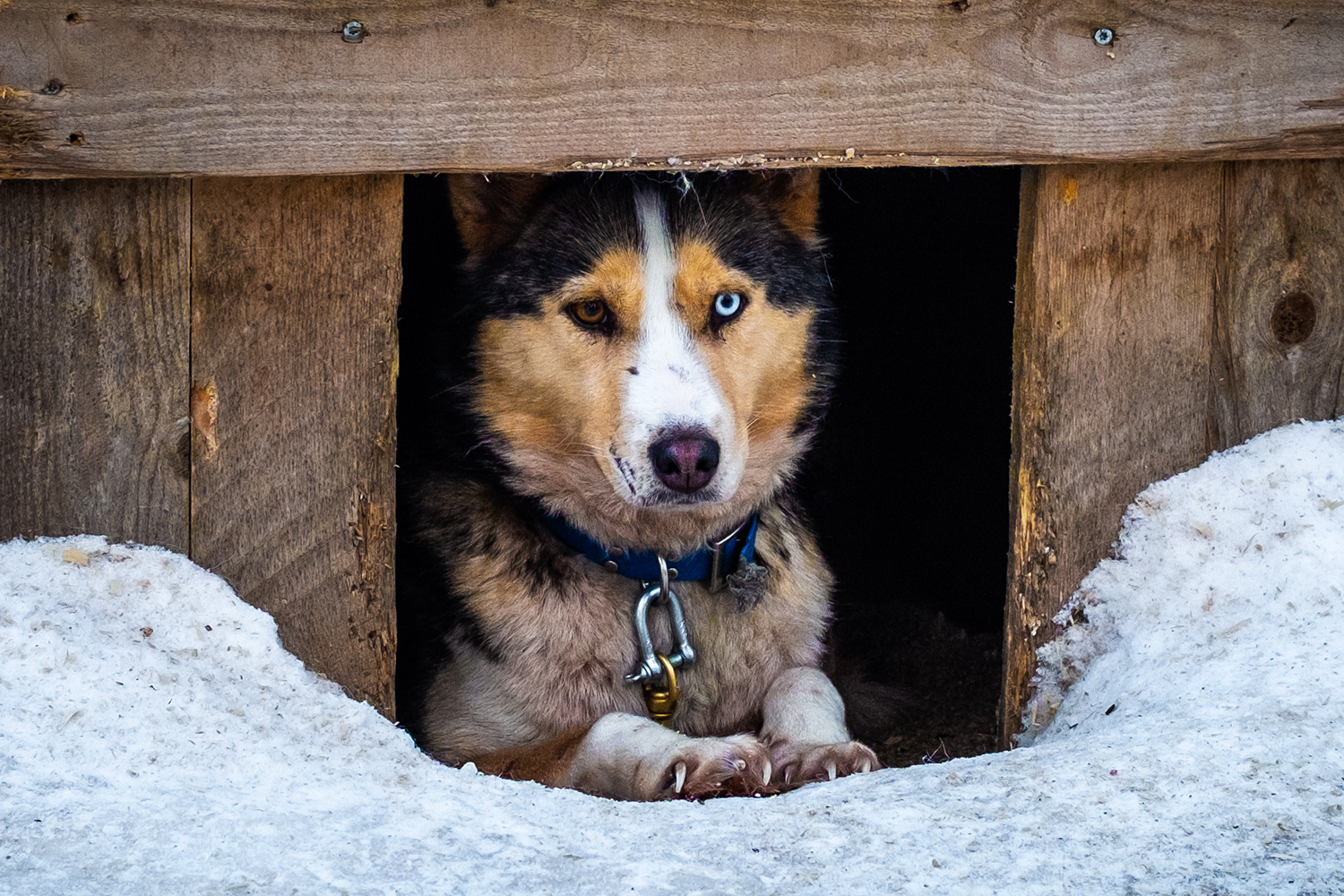 Jumla - Hossa Finland