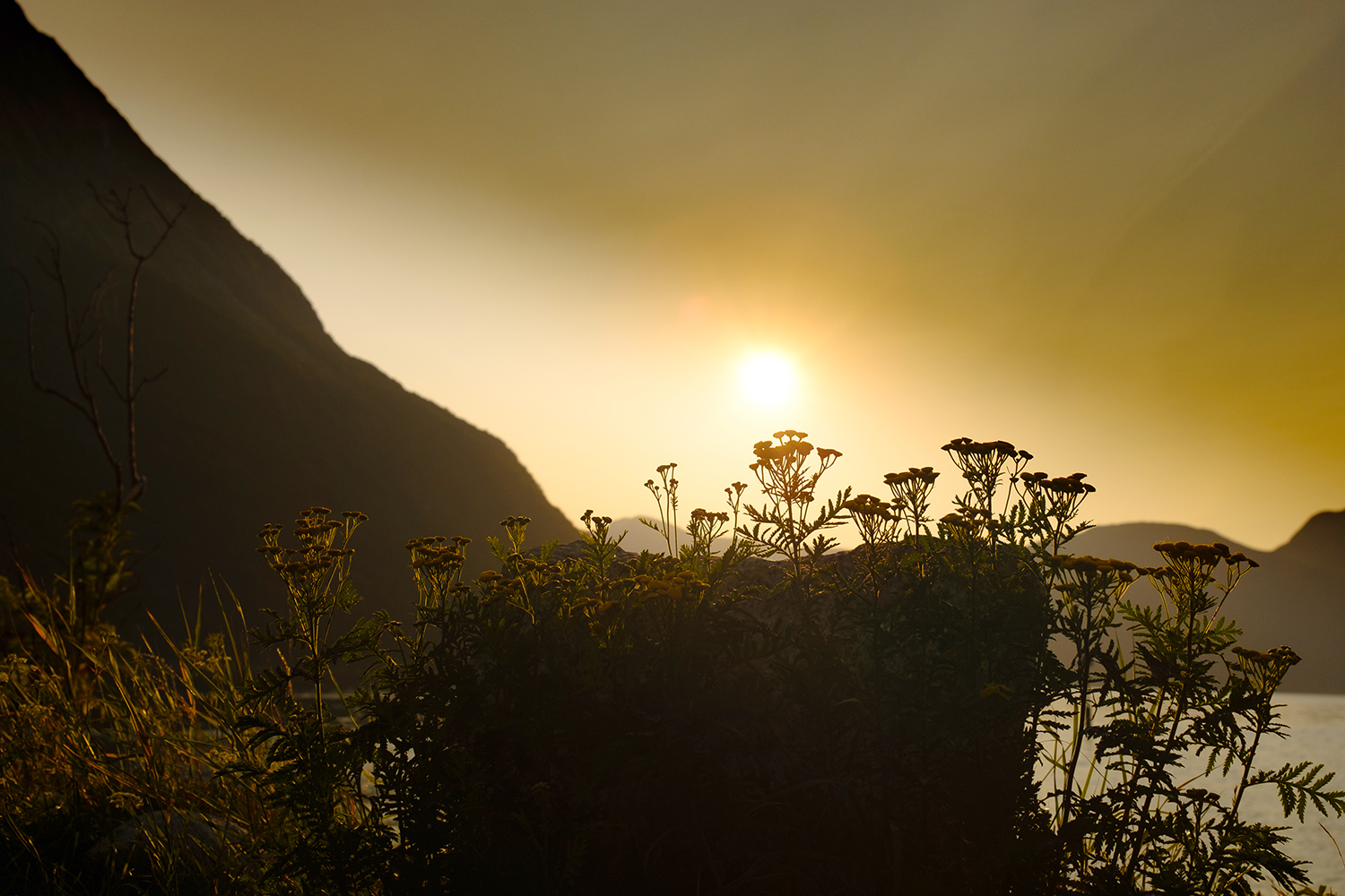 Sunlight Eidfjord - Norway