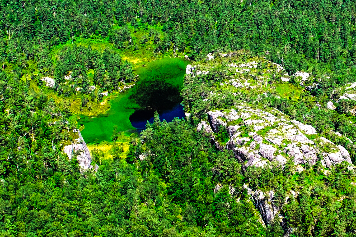 Lake - Preikestolen trail - Norway