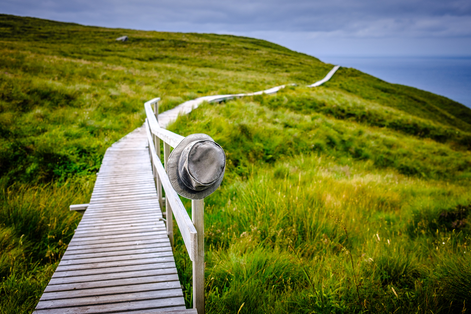 Runde island path - Norway