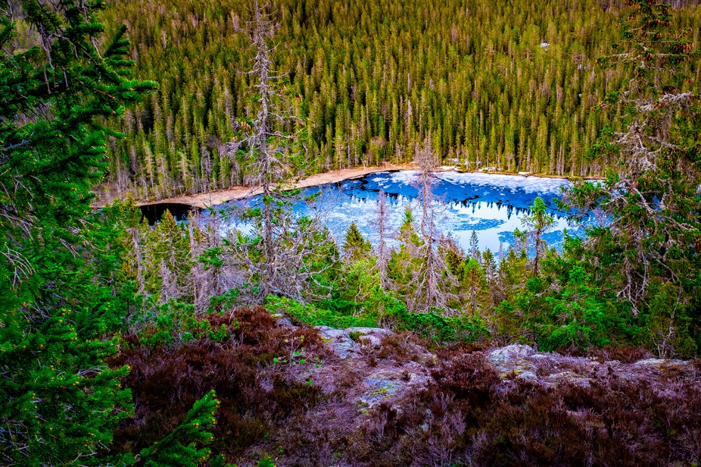 Frozen Lake - Skuleskogen - Sweden