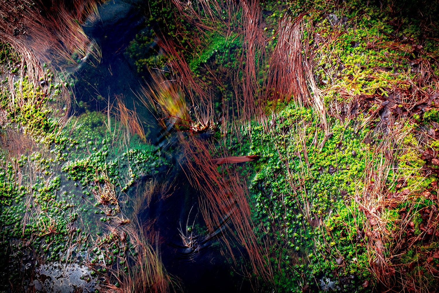 Stream - Skuleskogen - Sweden