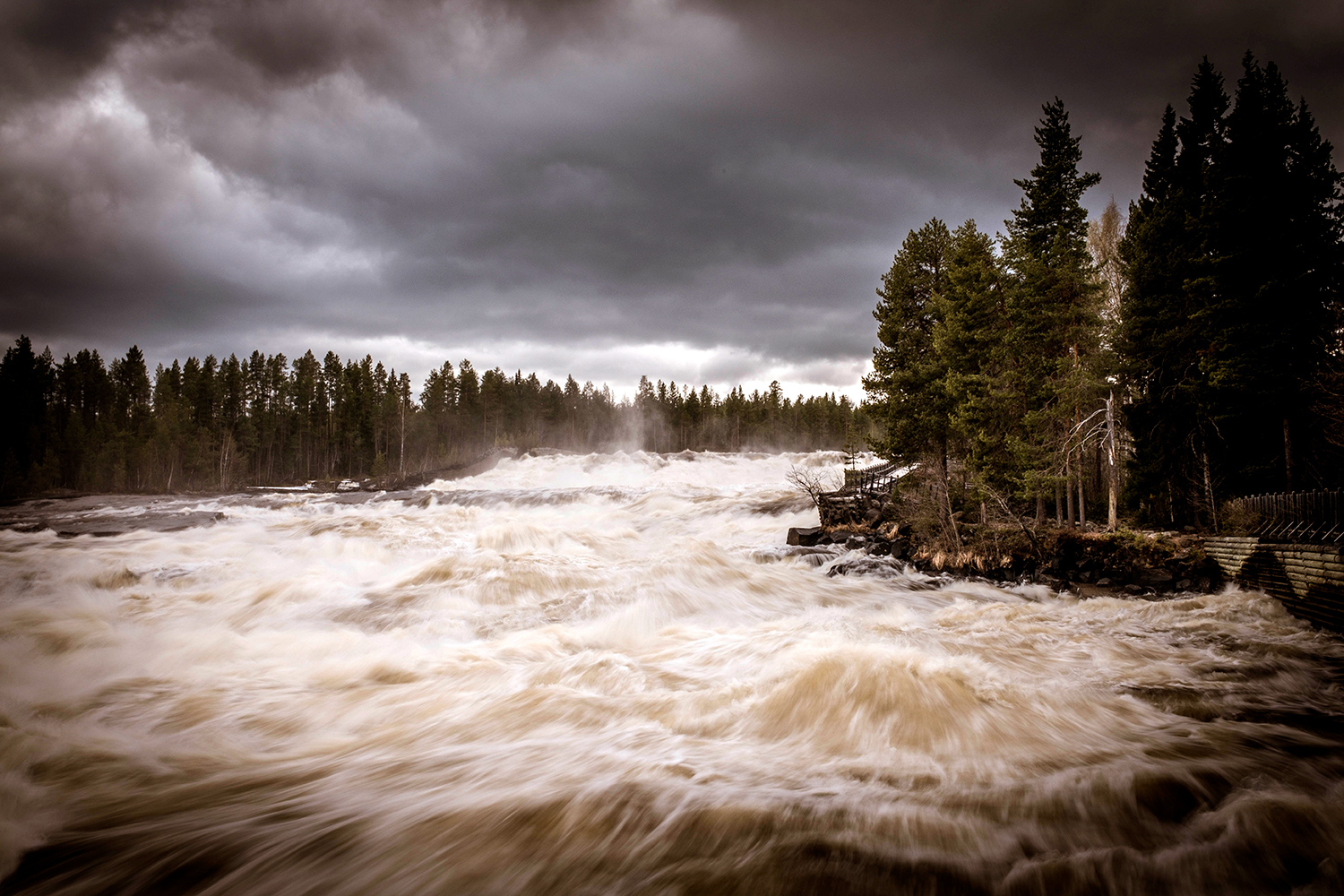 Rapids - Storforsen - Sweden