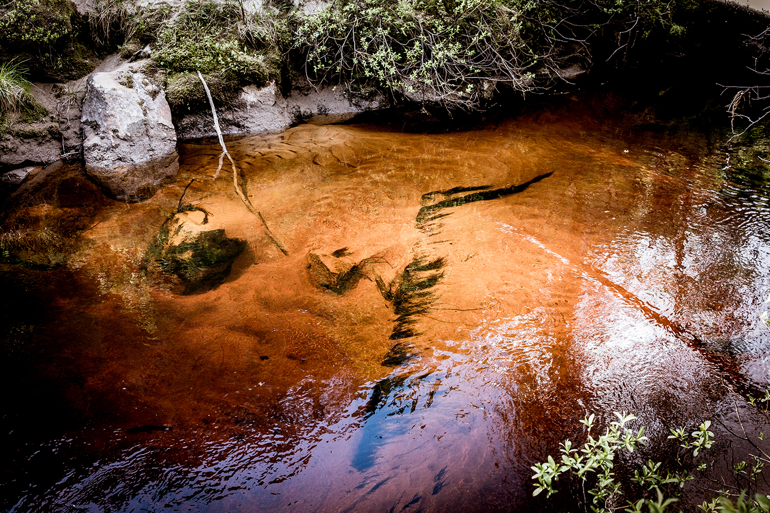 Stream - Korouoma - Finland