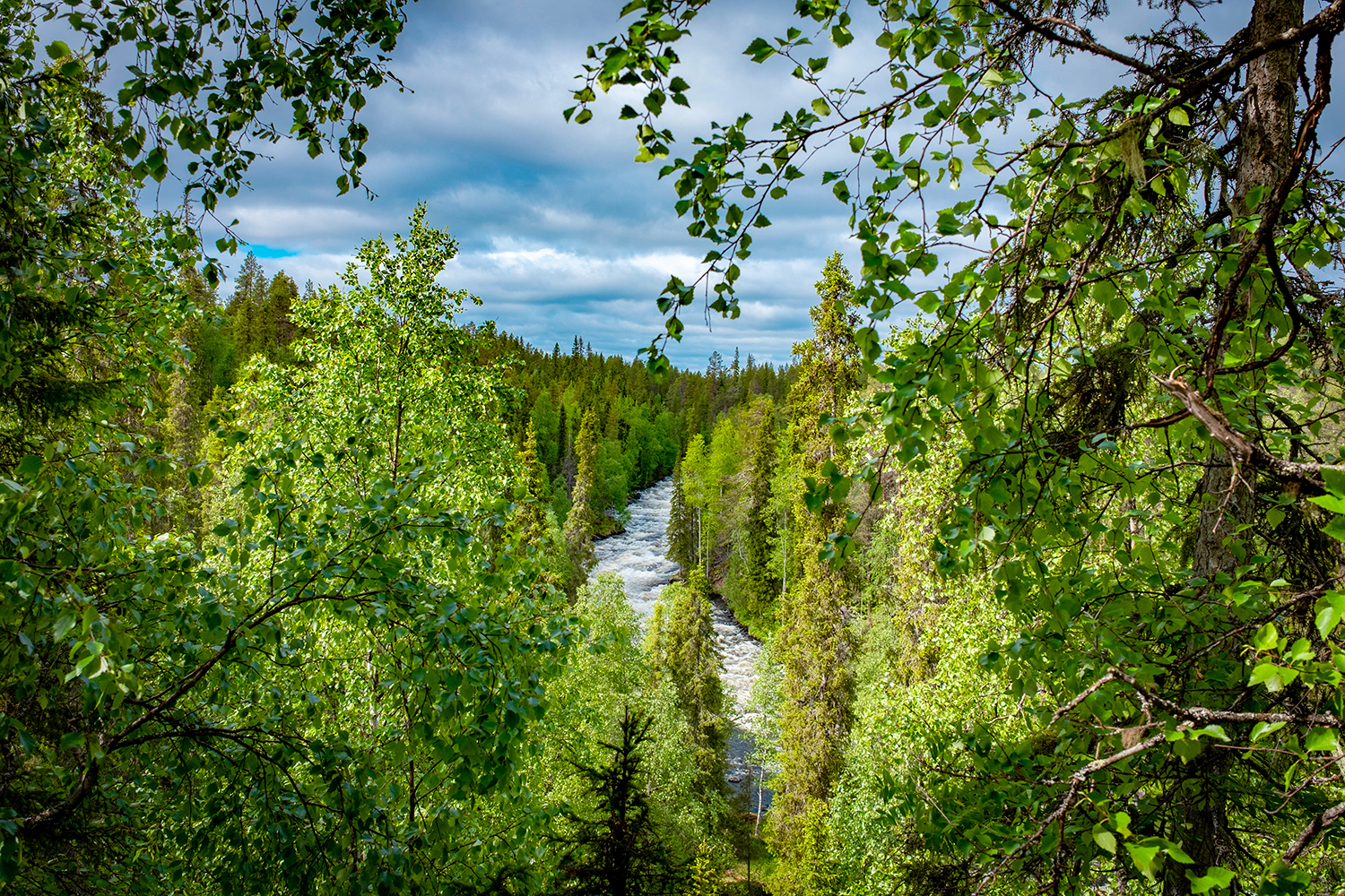 Pieni Karhunkierros - 0ulanka - Finland
