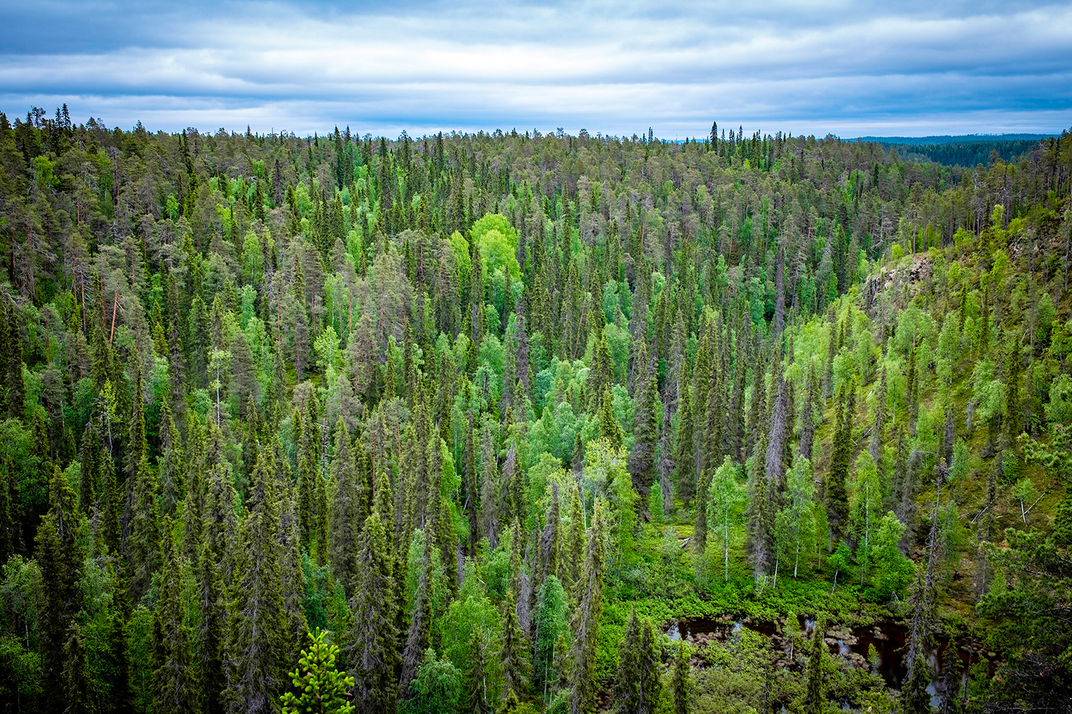 Pieni Karhunkierros - 0ulanka - Finland
