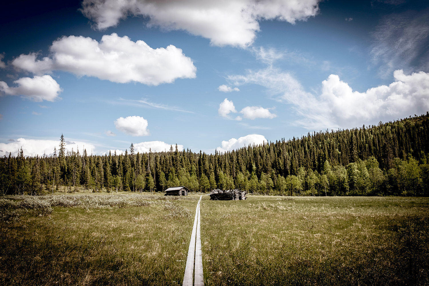 Duckboards - Riisintunturi - Finland