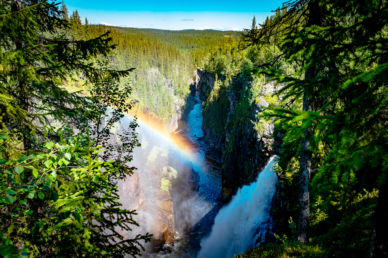 Hallsingsafallet - Vildmarksvagen - Sweden