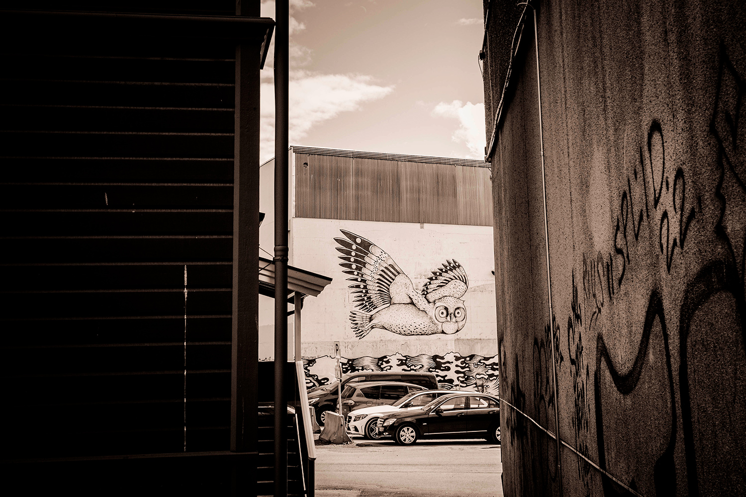 Tromso Street art - Norway