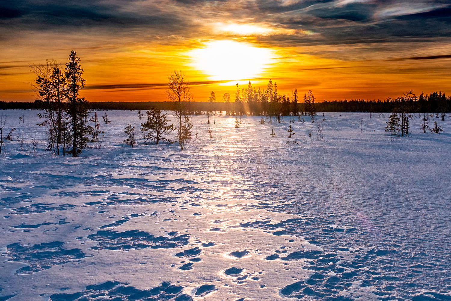 Nattavaara Lapland Sweden