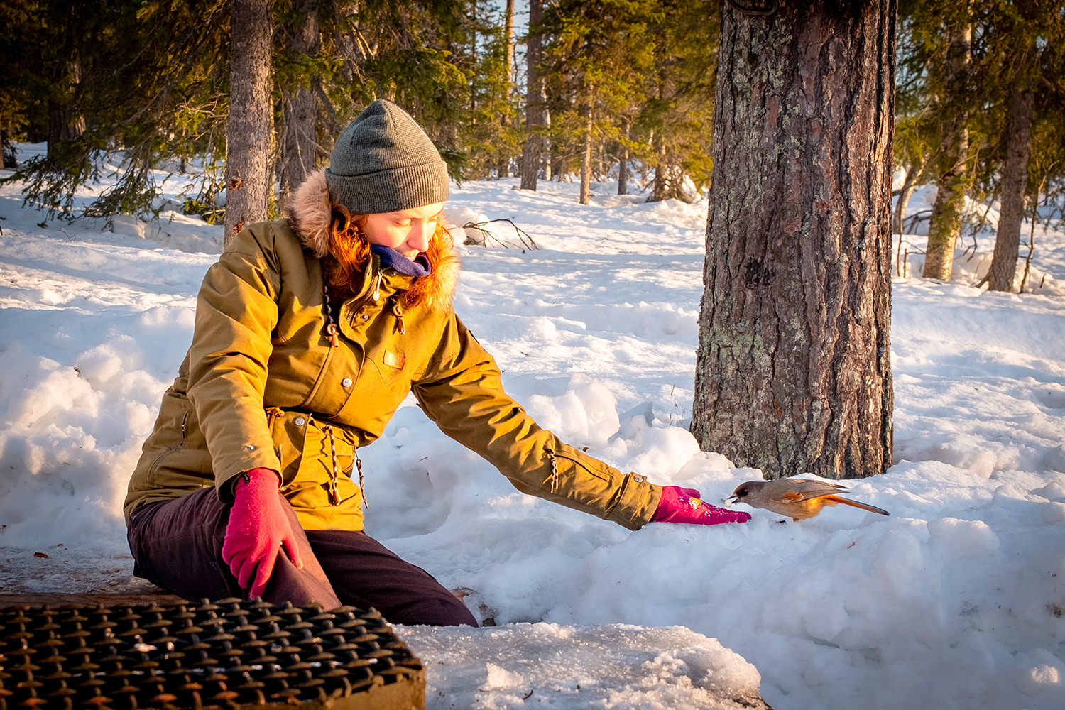 Sandra- Lapland - Sweden