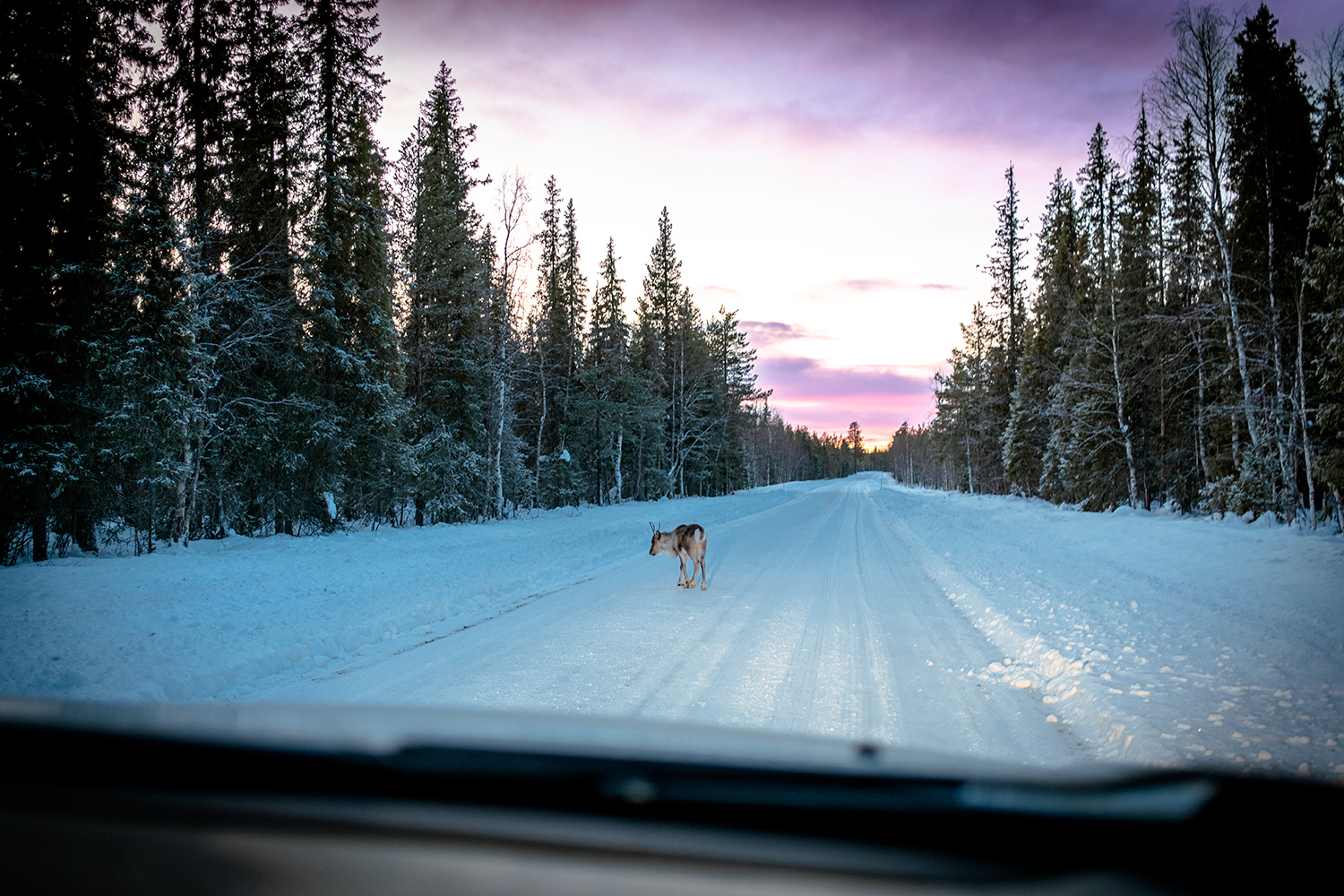 Nattavaara Lapland - Sweden