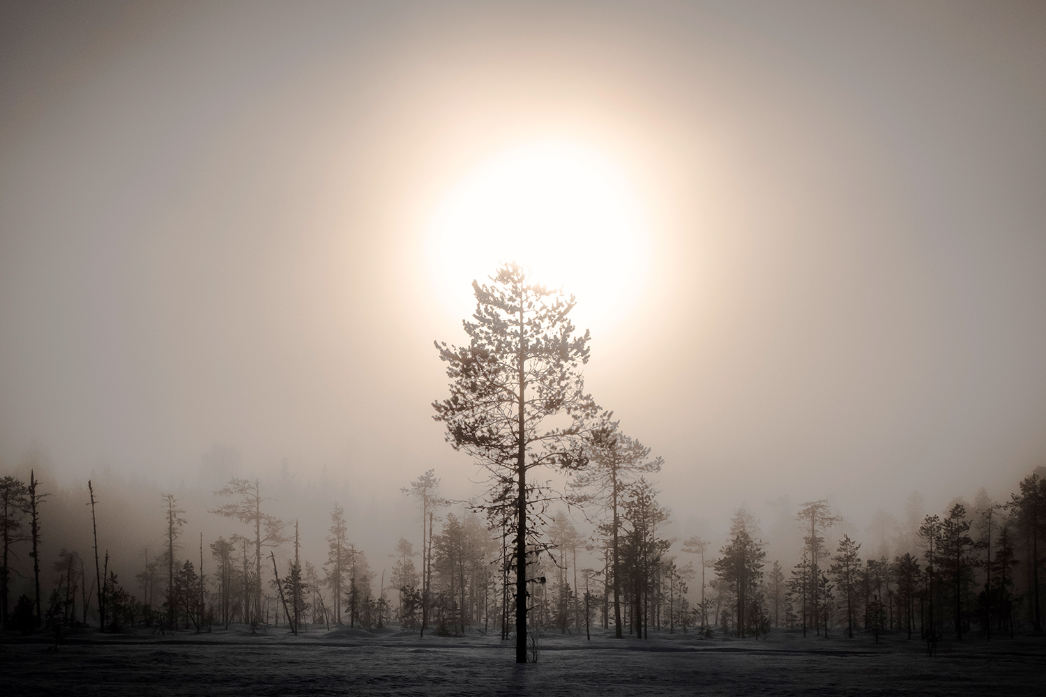 Nattavaara Lapland - Sweden