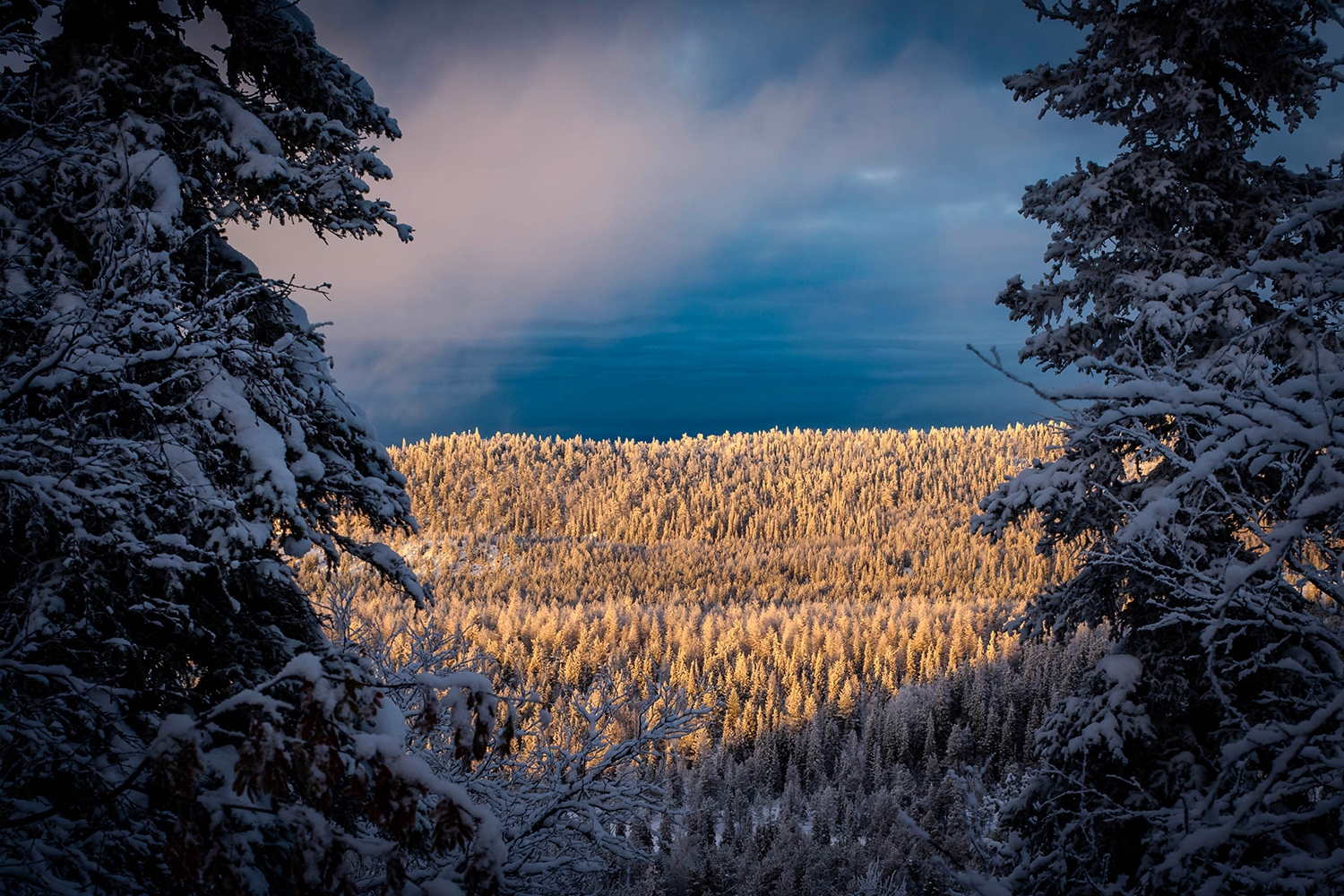 Konttainen - Lapland - Finland