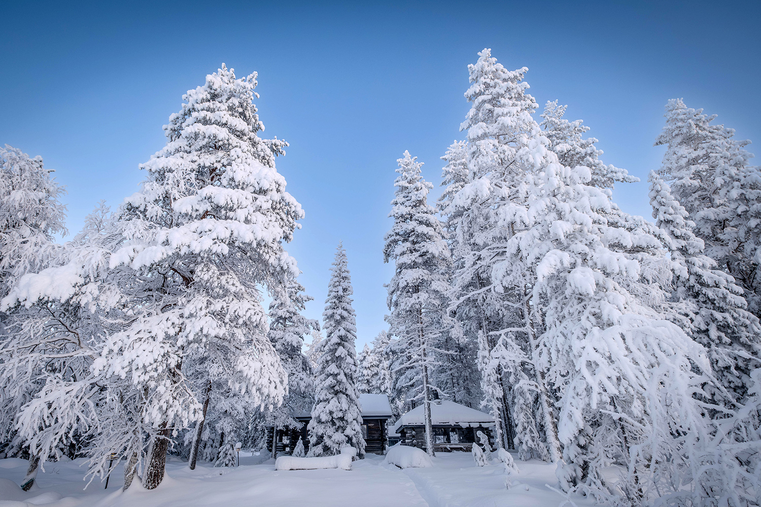 Valkama cabin Lapland