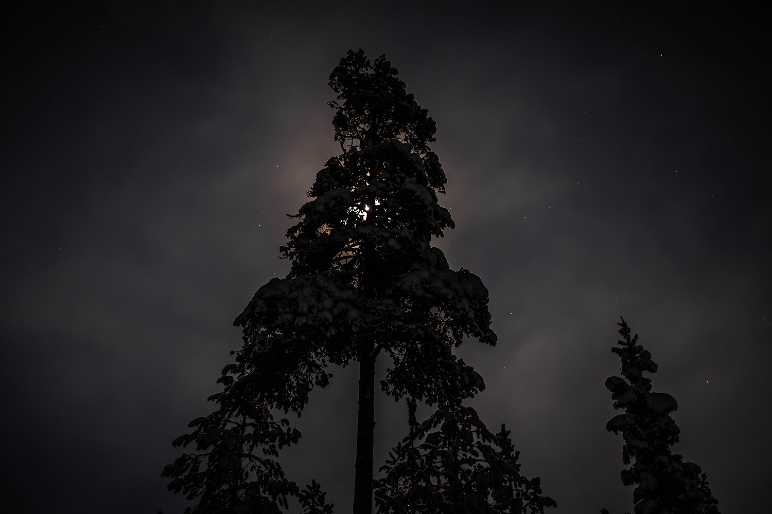 Valkama cabin Lapland